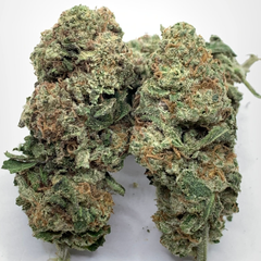 *NEW* Grapefruit Kush 3A