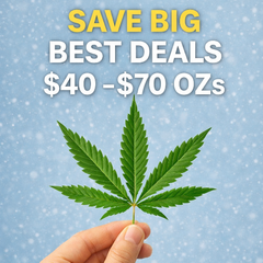 ***READ LIST BELOW*** IN DESCRIPTION