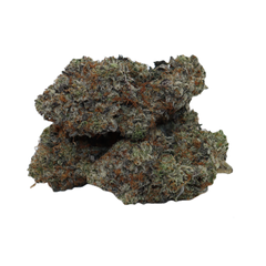 [5 STAR] Pink Megaman *Indica*