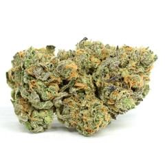 Blue Dream  - Sativa 