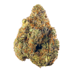 Hindu Kush AAAA+