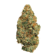 Mango Haze