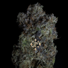 [NEW]  Chapo Pink AAAA+ *OZ 160 2OZ 300*