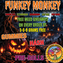 Funkey Monkey