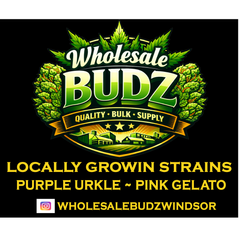 LIMITED TIME ONLY!!! BEST BUDGET FRIENDLY OPTIONS