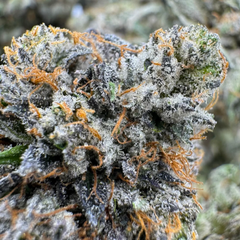 7G - Death Tuna Indica  (Cali Bricks)  2Oz Bulk Deal for $300