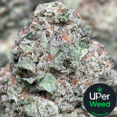 (28G) - Blue Dream 🩵💭 Sativa | 2Oz Bulk Deal for $180