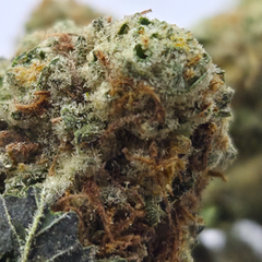(NEW) Emerald Cookies 🍪 On Sale $70/Oz 2oz for $120 4oz for $220🔥!! 