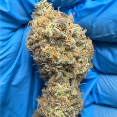 BLUE RAINBOW (blueberry bang bang x rainbow belts)