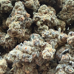 GASTROPOP ***SUPER SALE*** 60OZ 2FOR110 4FOR200 8FOR380 1LB700