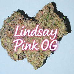 ? Lindsay Pink OG – Ultra-Gassy, Greasy, Dense Craft Indica