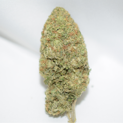 Cinderella 99 Sativa Dominant Hybrid AAA+ 