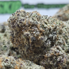 (NEW) Purple Afghan 🟪🇦🇫  ($140/Oz) 🔥 