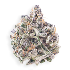 ( AAAA ) Han Solo Burger 28% THC | $156 /Oz  | $234 for 2/Oz 
