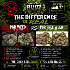 !!PGR WEED FILLED IN WINDSOR!!