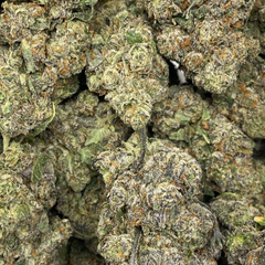 Animal Tsunami ( AAAA Exotic) - 2oz @ $160, 4oz @ $300