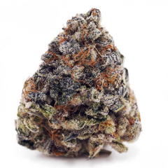 Loud Dreams - High Quality 