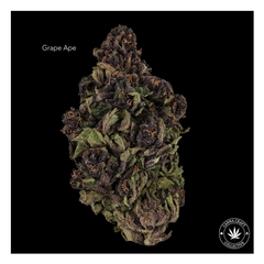 AA - GRAPE APE - $40-OZ