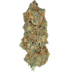 Strawberry Cheesecake 
