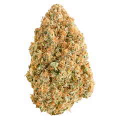 Blue Dream 7g <br>Sativa <br>31.1% | 2.20% Terps