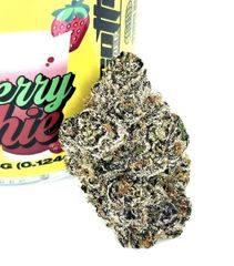 BISCOTTI - Strawberry Slushie - 3.5g