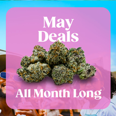 🔥 Discover Premium Craft Cannabis 🔥