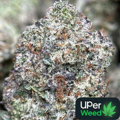 14G - Animal Tsunami🦁🌊Indica | 2Oz Bulk Deal for $240