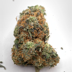 *NEW* Grease Monkey 4A