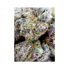 PURPLE KUSH LSO SMALLS