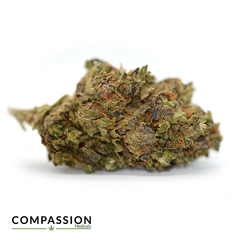 Purple Rockstar
