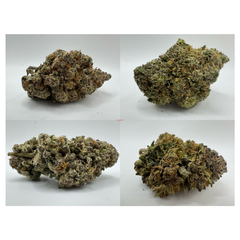 Canna-Corp-Canada.com