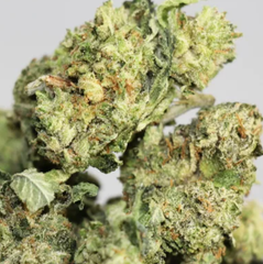 (28G) - GAS Face Indica | 4Oz Bulk Deal for $200