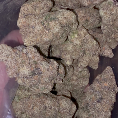 Blue Zushi - | 2oz’s FOR $280 |