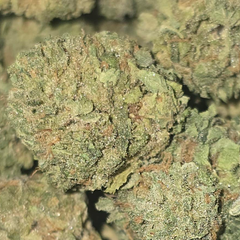 CANDY PAINT 70OZ 2FOR130 4FOR250