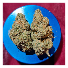*NEW* Banana Punch (7g-$50/14g-$85/28g-$160)(THC 33%)
