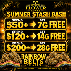 Summer Stash Bash - Amazing Value!