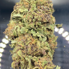 * NEW *  Violator Kush AA LOCAL [ $200 for 4 oz]