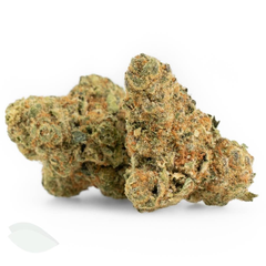 Sour Jack (AAA Sativa Flower)