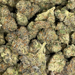 10 Week Girl Scout Cookies (Premium Value) - 3oz @ $160, 4oz @ $200