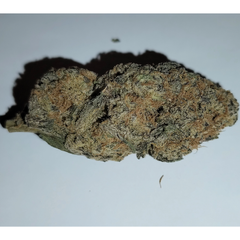 Bubblegum Gelato (Premium-Grade)