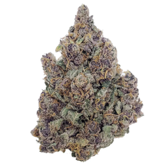 $OUNCE DEAL - Purple Q - AAA