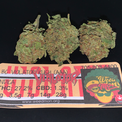 ***NEW*** BC Violator (AAA) 27.2% THC 1.3% CBD 