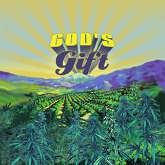 God's Gift