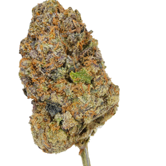 BC (AAAA) BLUE GUSHERS (1/2 OZ & OZ SALE $70/$125)