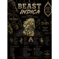 Beast | INDICA | 23-28% THC | $60 an oz | $85 for 2 ozs | $140 for 4 ozs | $240 for 8 ozs | 