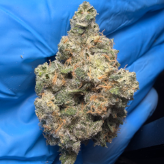 BLACK MAGIC MELON (Black Patronus x Blueberry Bang Bang) NEW BATCH*