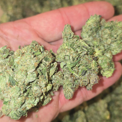 PINK ISLAND KUSH 100OZ 2FOR