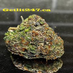 Black Tuna - Hybrid 60% Indica / 40% Sativa - THC 28-30%