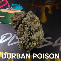 Durban Poison Sativa Dominant 