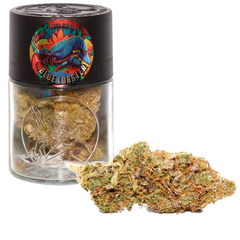 BLUE LOBSTER🔵🦞 WALT HERB 7G JAR  - 60/40 INDICA 